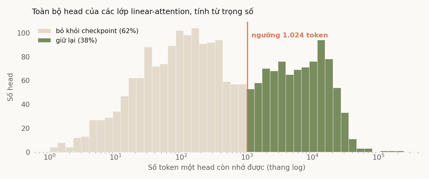 Biểu đồ phân bố: phần lớn head nằm dưới ngưỡng 1.024 token, một phần ba nằm trên