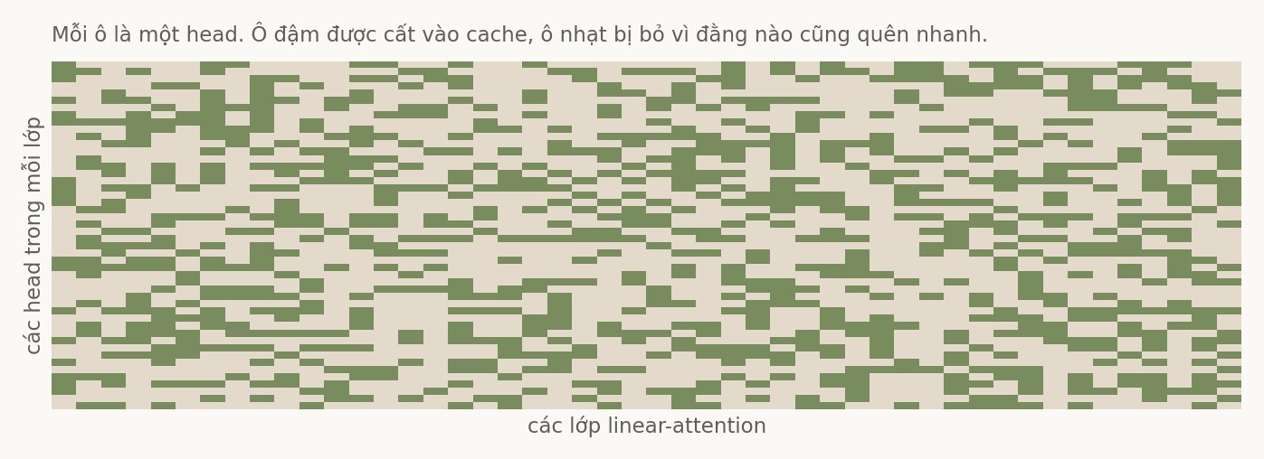 Lưới ô vuông dày đặc, khoảng một phần ba số ô màu đậm, phần còn lại màu nhạt